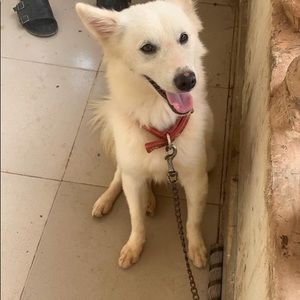 Meet your Posher, Dana